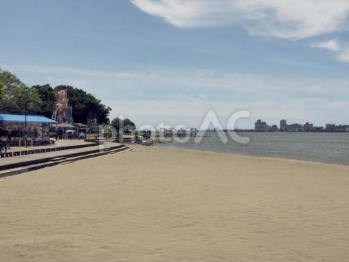 台湾八里の砂浜