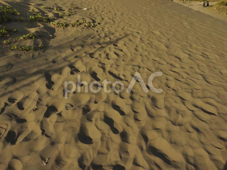 台湾桃園の觀音草漯沙丘