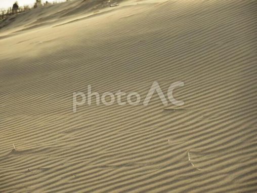 台湾桃園の觀音草漯沙丘