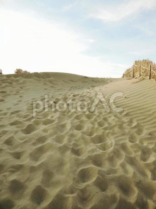 台湾桃園の觀音草漯沙丘