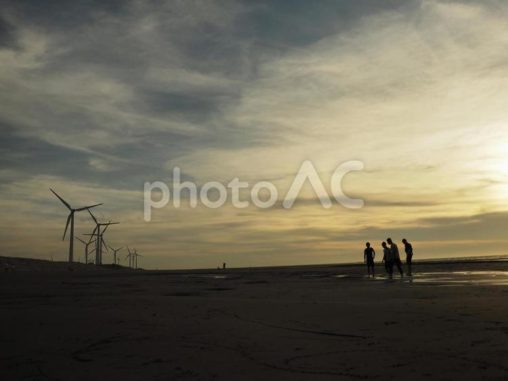 台湾桃園の觀音草漯沙丘
