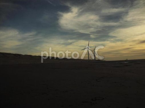 台湾桃園の觀音草漯沙丘