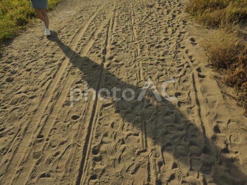 砂場を歩く