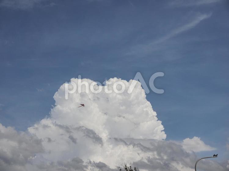 青空と入道雲とカイト（凧）