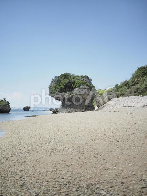ビーチコーミング（沖縄県うるま市勝連平安名）