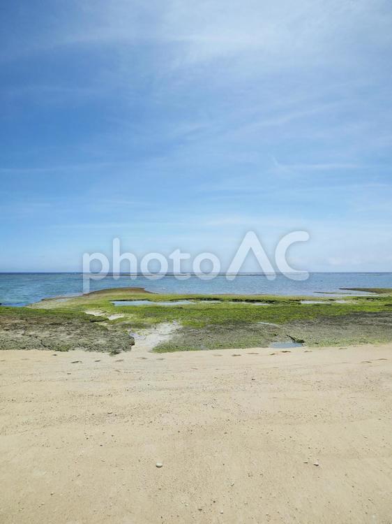 ハンジャパーマ（沖縄県中頭郡読谷村）