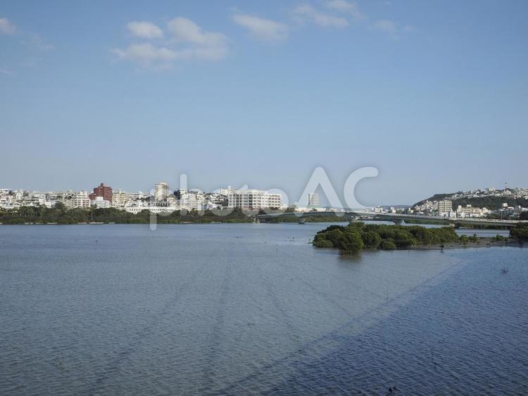 爬龍橋_漫湖公園（那覇市鏡原）