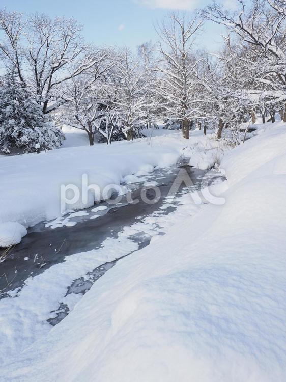 雪が積もった川(中島公園、北海道札幌市）