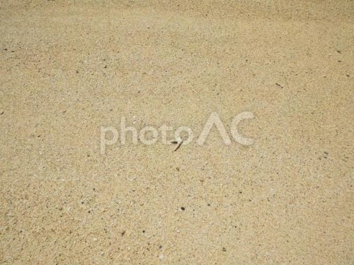 砂浜_瀬良垣の浜(沖縄県恩納村瀬良垣)