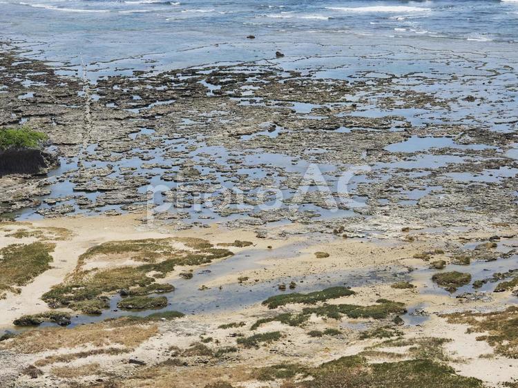 具志頭城跡からの風景（沖縄県島尻郡八重瀬町具志頭）