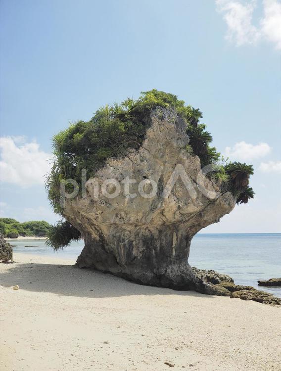 キノコ岩_ビーチコーミング（沖縄県うるま市勝連平安名）