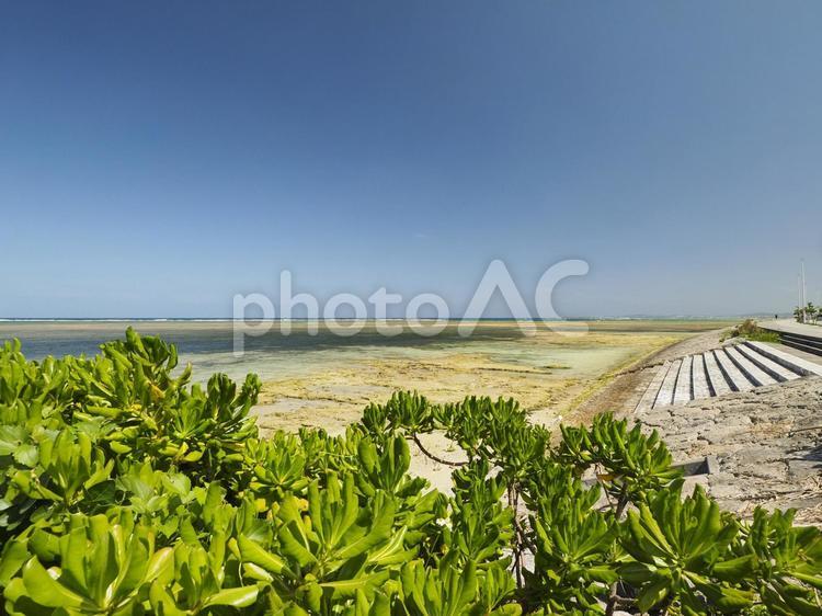 沖縄県浦添西海岸（沖縄県浦添市西洲）