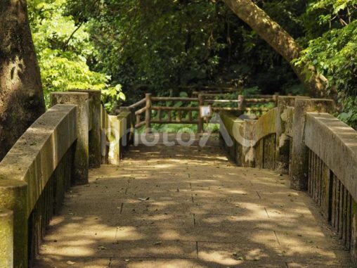 写真素材ダウンロードサイト【写真AC】