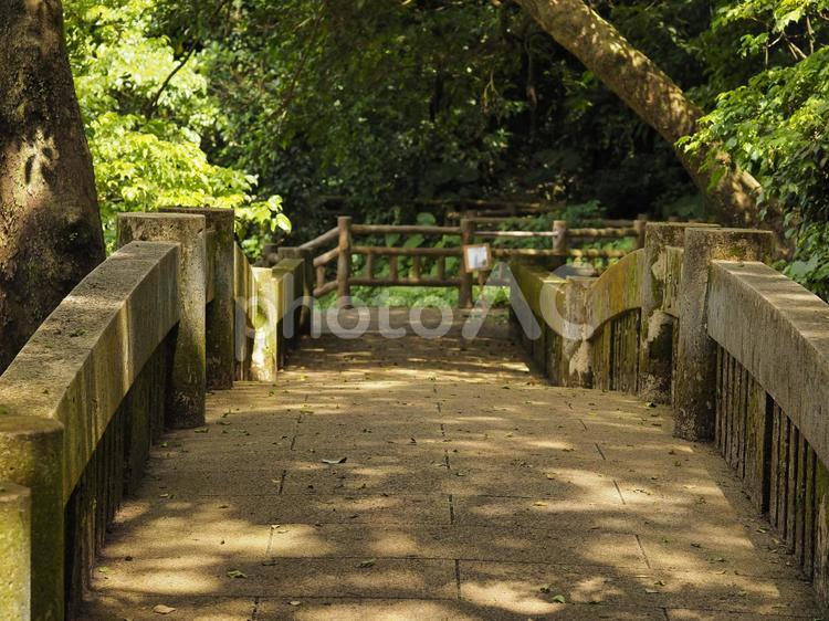 写真素材ダウンロードサイト【写真AC】