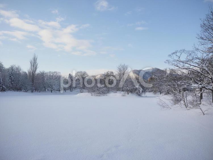 真冬の菖蒲池(中島公園、北海道札幌市）