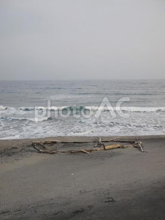 流木と海_大森浜（北海道函館市）