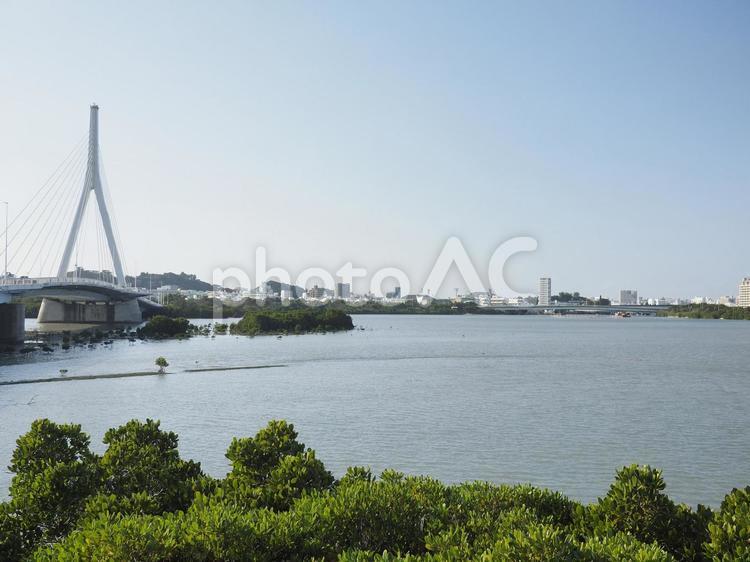 漫湖・とよみ大橋（那覇市鏡原）