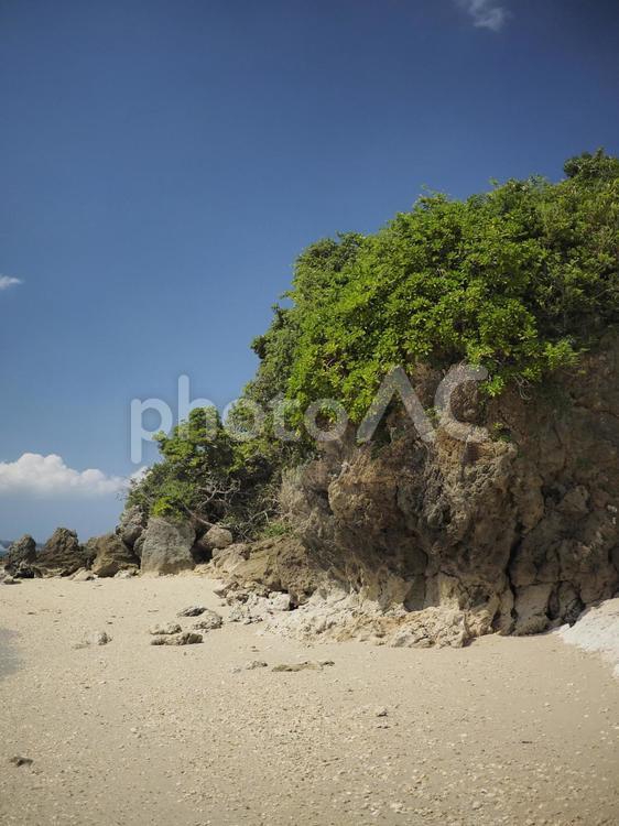 ビーチコーミング（沖縄県うるま市勝連平安名）