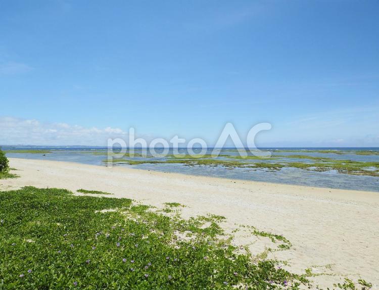 もめんばるビーチ（沖縄県中頭郡読谷村）