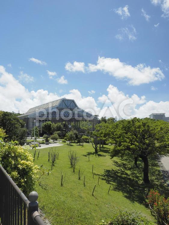 浦添運動公園_ANA_SPORTS_PARK浦添（沖縄県浦添市）