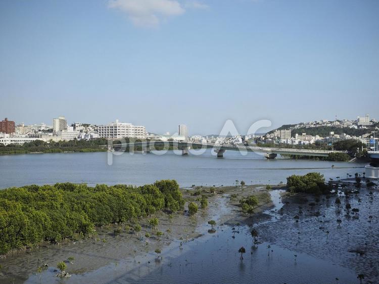 漫湖（那覇市鏡原）