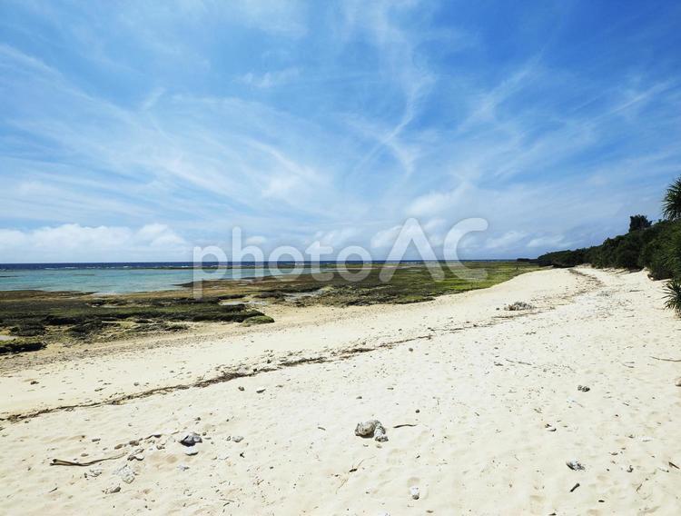 ハンジャパーマ（沖縄県中頭郡読谷村）