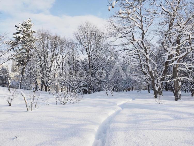 雪積の冬風景(中島公園、北海道札幌市）