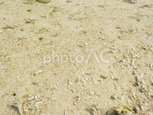 新原ビーチ砂浜（沖縄県南城市玉城百名）