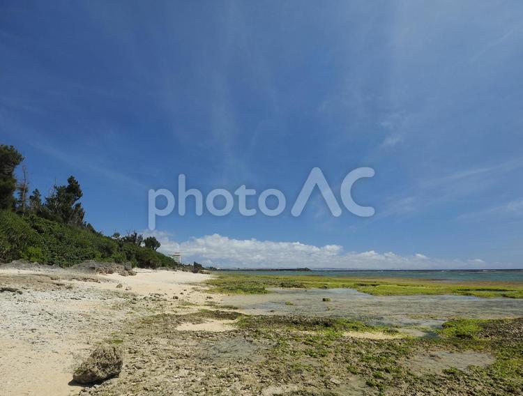 ハンジャパーマ（沖縄県中頭郡読谷村）