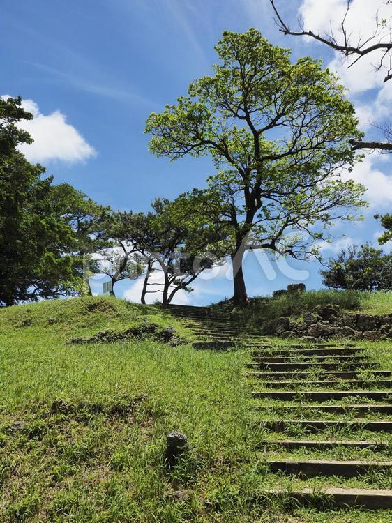 前田高地（ハクソーリッジ）の階段（沖縄県浦添市）