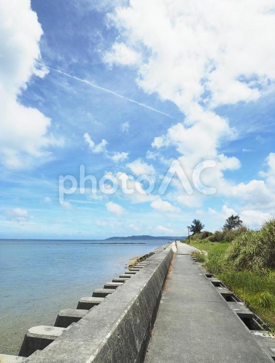 堤防上_津覇ビーチ（沖縄県中頭郡中城村）