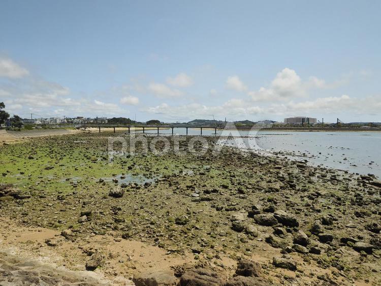 瀬長島の干潟（沖縄県那覇市瀬長）