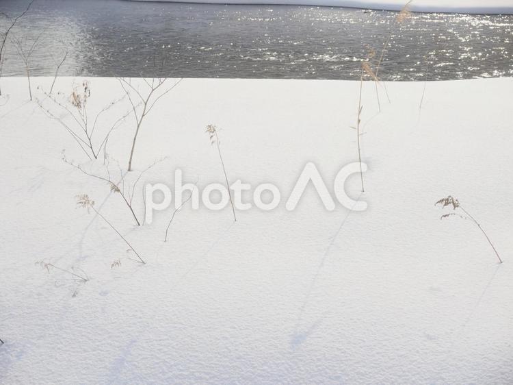 雪の積もった川沿い（北海道札幌市）