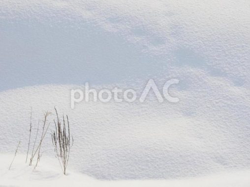雪面と足跡（北海道札幌）