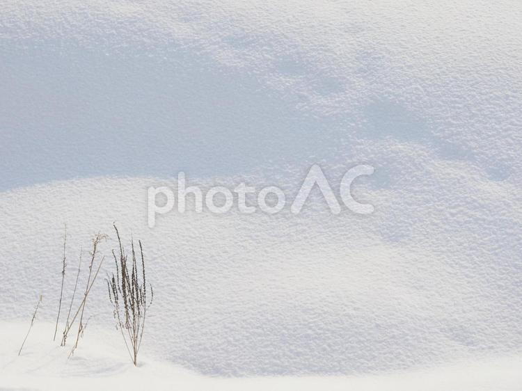 雪面と足跡（北海道札幌）