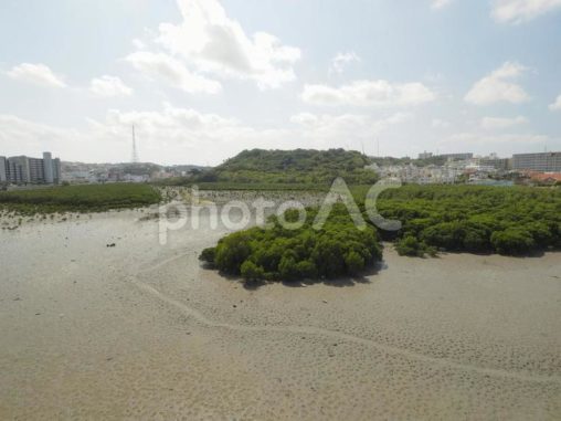 漫湖の干潟、引潮時（沖縄県豊見城市豊見城）