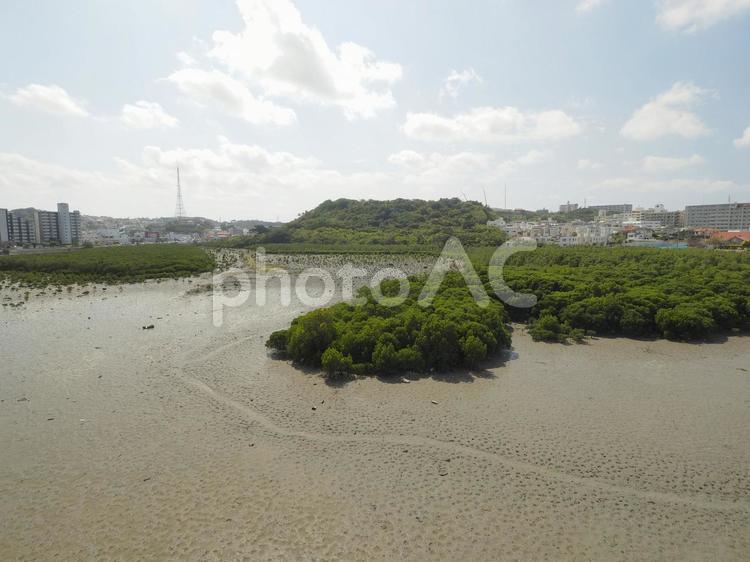 漫湖の干潟、引潮時（沖縄県豊見城市豊見城）