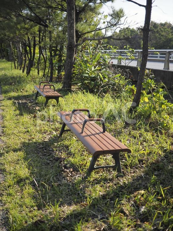 公園のベンチ（沖縄県那覇市、漫湖公園）