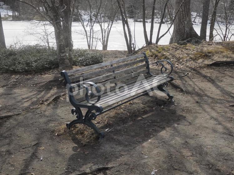 大沼国定公園のベンチ（北海道大沼市）