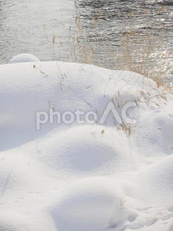 雪の積もった川沿い（北海道札幌市）