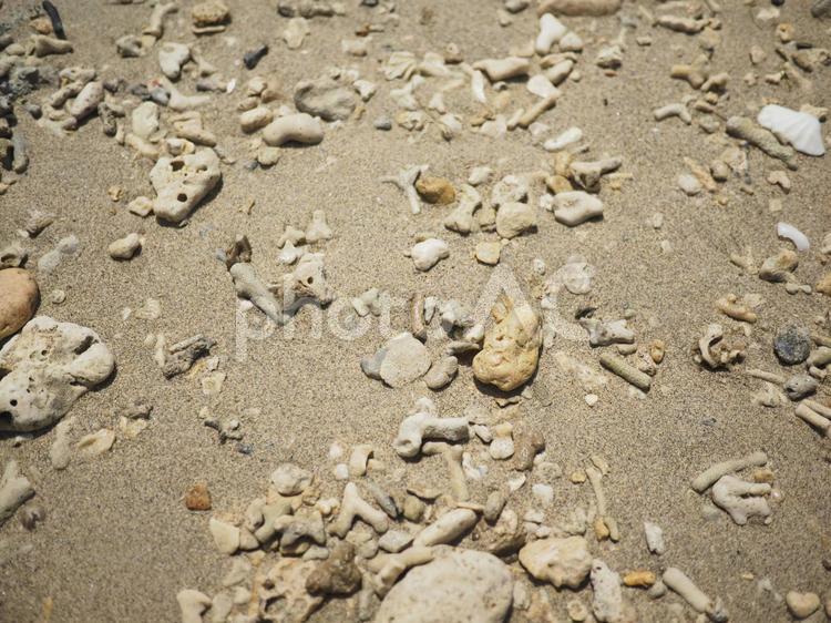 砂浜_ビーチコーミング（沖縄県うるま市勝連平安名）