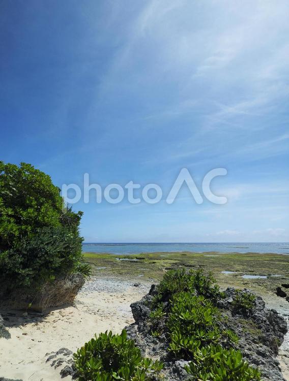 ハンジャパーマ（沖縄県中頭郡読谷村）