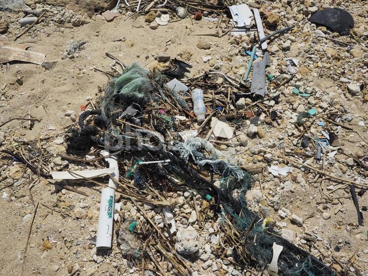 海岸のゴミ（沖縄県南部）