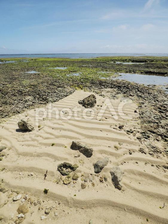 ハンジャパーマ（沖縄県中頭郡読谷村）
