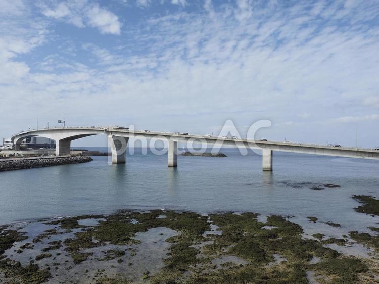 西海岸道路の橋（沖縄県宜野湾市）