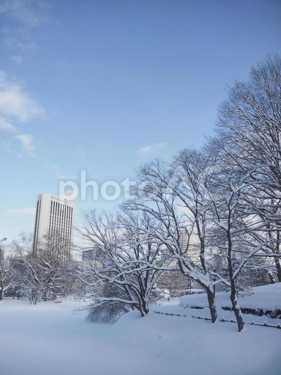 雪積の冬風景(中島公園、北海道札幌市）