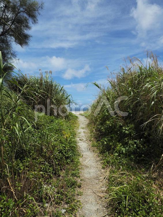 入口_津覇ビーチ（沖縄県中頭郡中城村）
