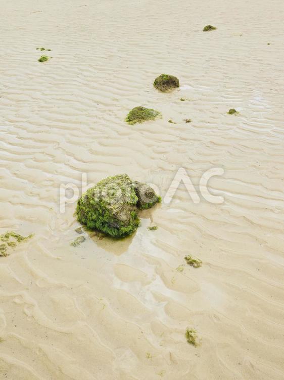 引潮の砂浜に現れた石_谷茶引潮のビーチ(沖縄県恩納村谷茶)