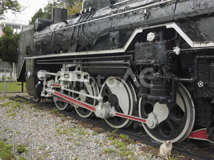 蒸気機関車 D51 222(与儀公園)