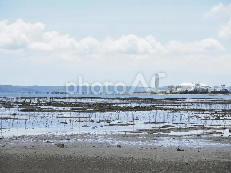 沖縄県総合運動公園前のビーチ（沖縄県沖縄市比屋根）